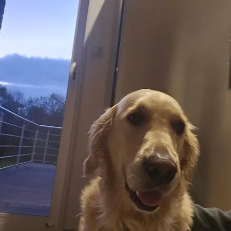 L'abri-cotier Saint-Riquier-ès-Plains